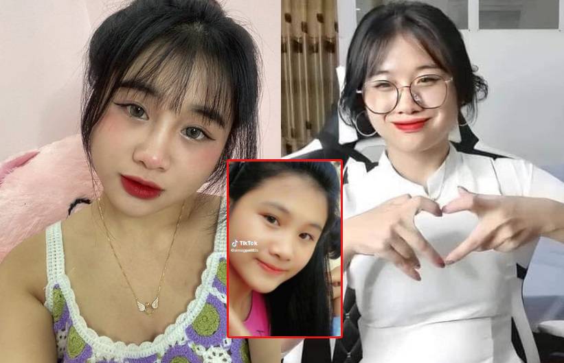 Gấu Anna mềm mại, ôm ấp những giấc mơ.